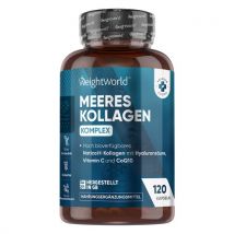 Meereskollagen gegen Falten und anhaltende Jugend. 120 Kapseln mit hochwertigem NatiCol® Kollagen, Hyaluronsäure und CoQ10.