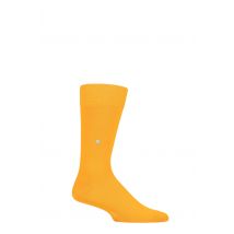 Mens 1 Pair Burlington Lord Plain Cotton Socks Yellow 6.5-11 Mens