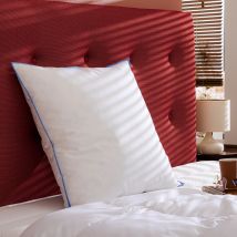 Oreiller Prestige duvet de canard 60x60
