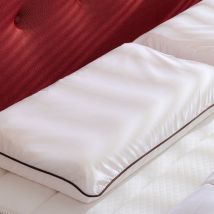 Lot de 2 oreillers latex naturel