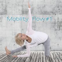 EO Mobility Flow (CD)