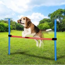 maxxpro Agility Spring Stick - Zestaw Agility dla psów 47432