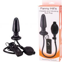 *Fanny Hills Butt Plug mit Vibration - Dildos & Masturbator