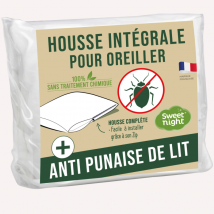 Housse intégrale pour oreiller anti-punaises de lit 60 x 60