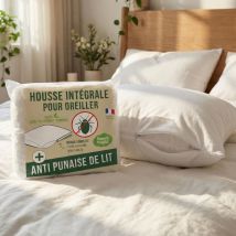 Housse intégrale pour oreiller anti-punaises de lit 50 x 70