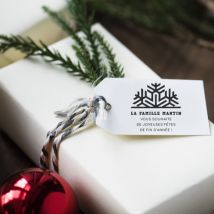 Tampon de Noël carré Trodat 4924 - Flocon de neige