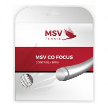 MSV Co.-Focus Saitenset 12m
