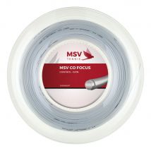 MSV Co.-Focus Saitenrolle 200m