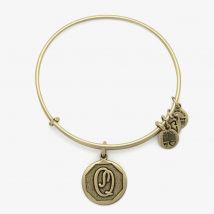 ALEX AND ANI Initial &#039;Q&#039; Charm Bangle A13EB14QG