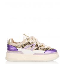 Walton Leopard
