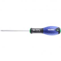 Expert by Facom Torx Screwdriver T10 75mm