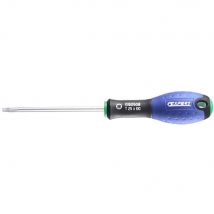Expert by Facom Torx Screwdriver T40 125mm