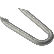 Forgefix Galvanised Netting Staples 25mm 500g