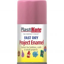 Plastikote Dry Enamel Aerosol Spray Paint