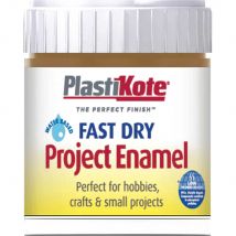 Plastikote Fast Dry Enamel Paint Nut Brown 59ml