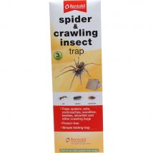 Rentokil Spider and Crawling Insect Trap