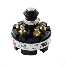 Bosch - Interrupteur HY87 pour marteau-piqueur - 1617200108 - Toomanytools
