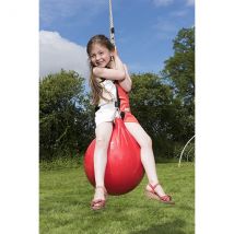 Ballon Bouée Pour Portiques De 1,90 À 2,50 M - Garantie 2 Ans - Aleo By Trigano
