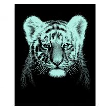 Kratzbild "Tigerbaby"