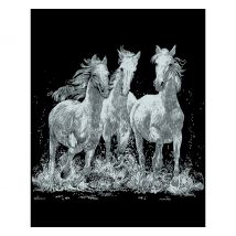 Kratzbild "Wildpferde"