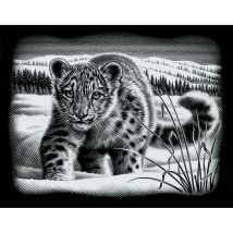 Kratzbild "Schneeleopard"