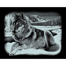 Kratzbild "Wolf", 25,2 x 20,0 cm