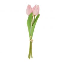 VBS Tulpe "Tammie" - Rosa