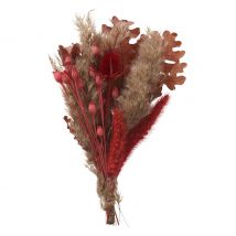 Trockenblumen Set "Red"