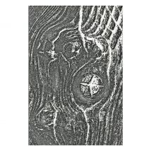 Sizzix 3D-Prägeschablone "Woodgrain by Tim Holtz"