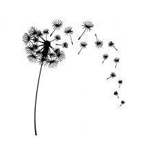 Silikonstempel "Pusteblume"