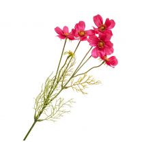 Cosmea Zweig mit 5 Blüten