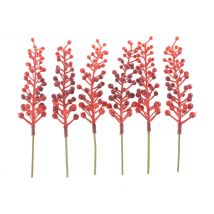 Beeren-Picks