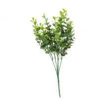 Eukalyptus Pick "Mia"