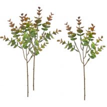 VBS Eukalyptus "Bendigo" - Braun/Grün