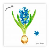 Serviette "Hyazinthe" - 5 Stück