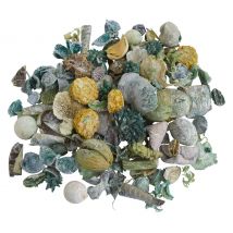 Exoten Potpourri - Grün