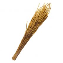 Trockenblumen "Phleum Pratensis" - Gelb