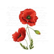 Serviette "Leuchtender Klatschmohn" - 20 Stück
