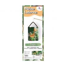Laternen-Set - Jungle