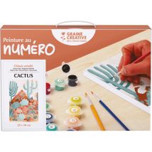 Malen nach Zahlen, Keilrahmen - Cactus