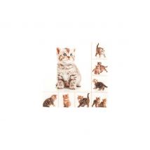 Serviette "Miezekatzen" - 20 Stück