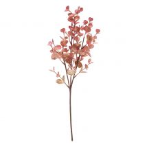 Eucalyptus tak "Marissa"