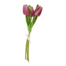VBS Tulp "Tammie - Rozig