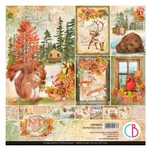 Scrapbook papier "Into the Wild"