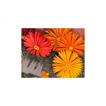 Ponssjablonen vouwbloem "Daisy"