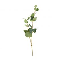 Eucalyptustak