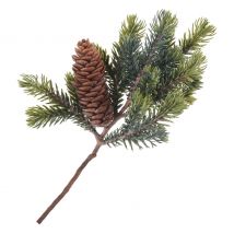 Dennentak met één kegel, L 24 cm