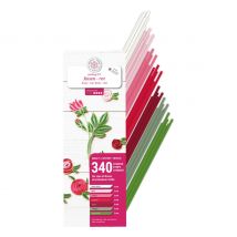 Quilling set "Rozen"