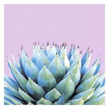 Servet "Succulente" - 5 stuks