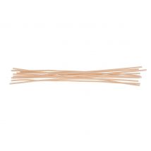 Kaarsenpitten, in de was gezet - 20 cm